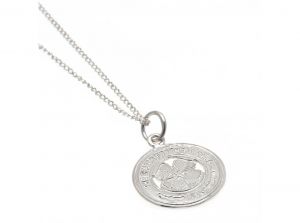Celtic Sterling Silver Pendant and Chain