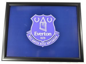 Everton FC Cushioned Lap Tray