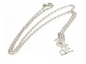 Liverpool Silver Plated Pendant and Chain