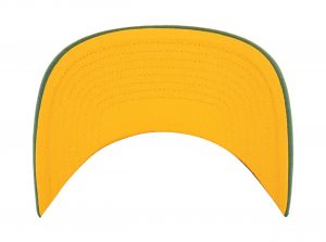 47 Brand NFL Green Bay Packers Hardline Trucker Snapback Cap Dark Green