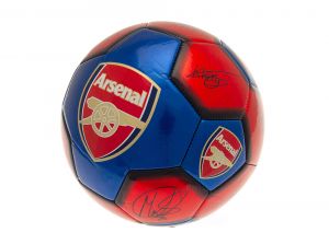 Arsenal FC Signature Size 1 Mini Ball