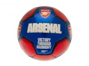 Arsenal FC Signature Size 1 Mini Ball