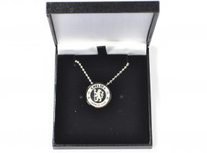 Chelsea Stainless Steel Pendant and Chain