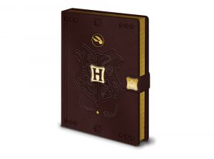Harry Potter Quidditch A5 Premium Notebook