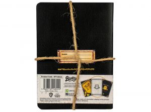 Harry Potter A6 Notebooks Three Pack