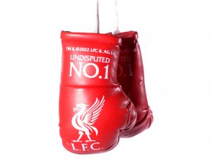 Liverpool Boxing Gloves Car Hanger No 1