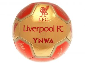 Liverpool FC Signature Size 1 Mini Ball