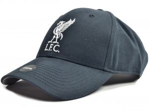 Liverpool Mass Basic Liverbird Cap Navy