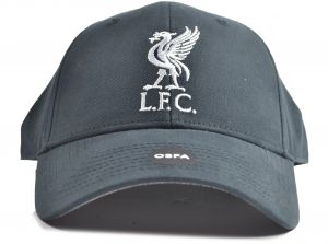 Liverpool Mass Basic Liverbird Cap Navy