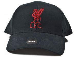 Liverpool Mass Basic Liverbird Cap Navy Red