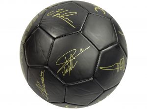 Liverpool Phantom Signature Ball Black Gold Size 5