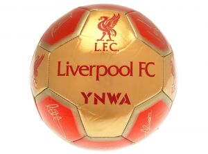 Liverpool Signature Ball Size 5 Red Gold LI08885