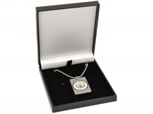 Man City Enamel Crest Dog Tag and Chain