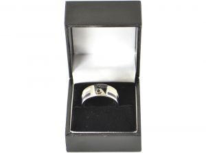 Spurs Stainless Steel Colour Stripe Ring