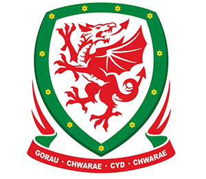 Wales Football Association